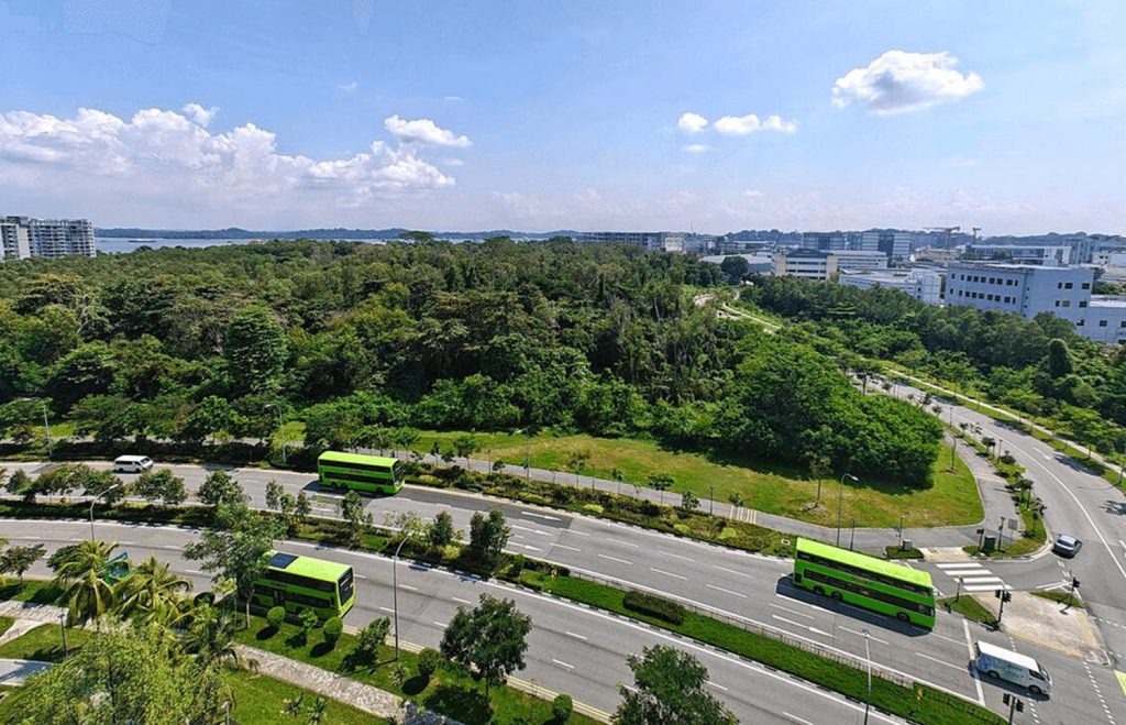 Pasir Ris to See New Homes and Neighbourhoods Under Draft Master Plan 2025